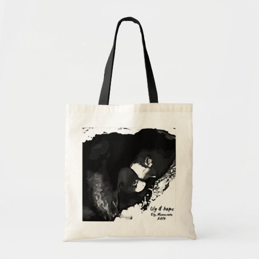 Höhlen-Nocken Ely 2010 Tragetasche (Vorne)