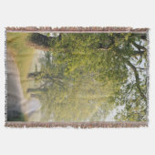 Höhlendecke| Große Smokey Mountains, TN Decke (Vorderseite)