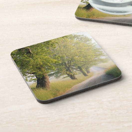 Höhlendecke| Große Smokey Mountains, TN Untersetzer (Linke Seite)