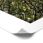 Höhlenformationen Poster (Ecke)