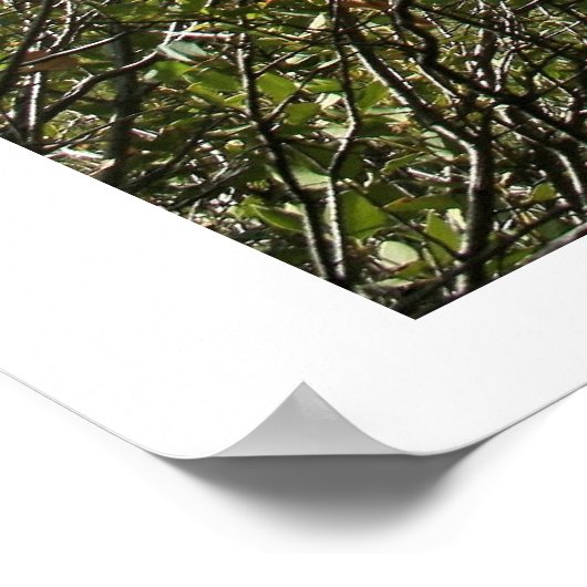 Höhlenformationen Poster (Ecke)