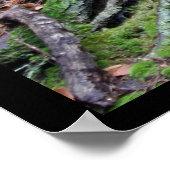 Höhlenkamm #1 des alten Mannes Poster (Ecke)