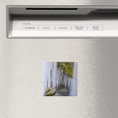 Höhlenkräfte Magnet (In Situ (Geschirrspüler))