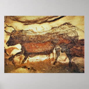 Höhlenmalerei Lascaux Poster