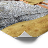 Höhlenmalerei. Plakat (Ecke)