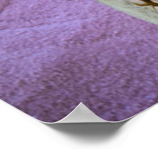 Höhlenmalerei. Plakat (Ecke)