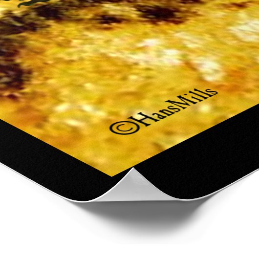 Höhlenstücke Igel Poster (Ecke)