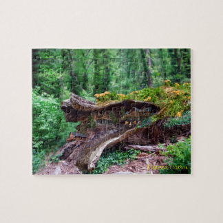 Hohler Klotz mit Haus-Puzzlespiel Puzzle