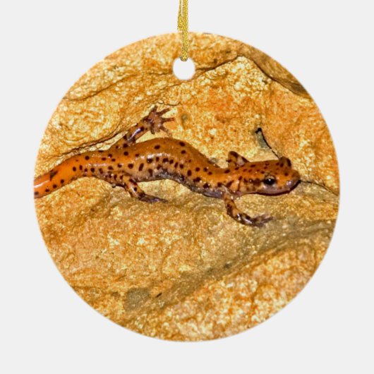HöhleSalamander Keramik Ornament (Hinten)