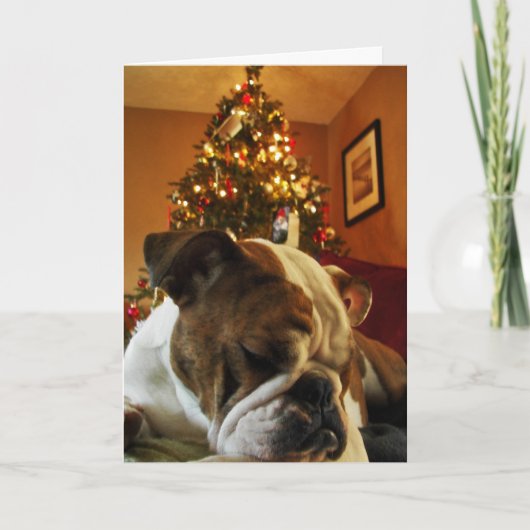 HoHoHo Maya Feiertagskarte (Vorderseite)