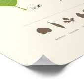 Hojas de Árbol Poster (Ecke)