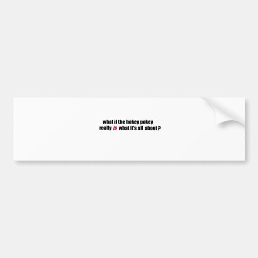 Hokey Pokey Autoaufkleber (Vorne)