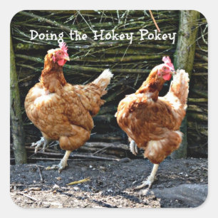 Hokey Pokey machen,  Quadratischer Aufkleber