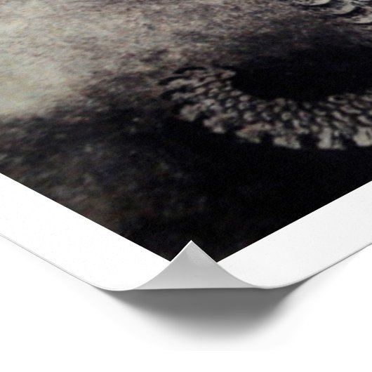 Hokusai - Dragon Scrolls Poster (Ecke)