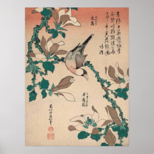 Hokusai Java Sperling auf Magnolie GalleryHD Poster