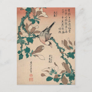 Hokusai Java Sperling auf Magnolie GalleryHD Postkarte