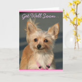 Hol bald Chihuahua Grußkarte Karte (Gelbe Blume)