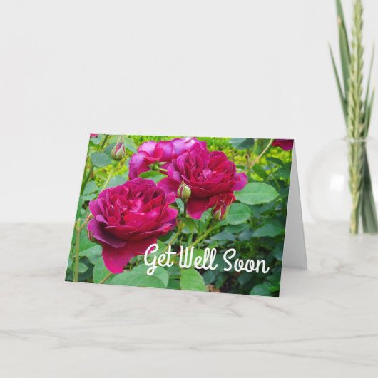 Hol dich bald Darcey Bussell Rose #2 Card Karte (Vorderseite)