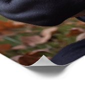 Hol dich. Nickerchen. Wieder von vorne. Für 100 Mi Poster (Ecke)