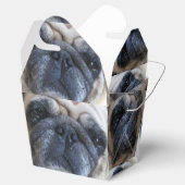 Hol dir bald einen tollen Mops-Hund Geschenkschachtel (Geöffnet)