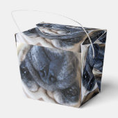 Hol dir bald einen tollen Mops-Hund Geschenkschachtel (Rückseite)