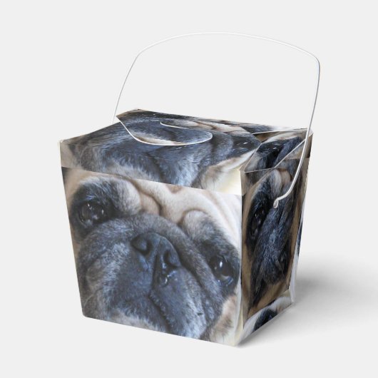 Hol dir bald einen tollen Mops-Hund Geschenkschachtel (Vorderseite)