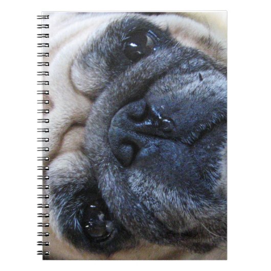 Hol dir bald einen tollen Mops-Hund Notizblock (Vorderseite)