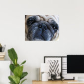 Hol dir bald einen tollen Mops-Hund Poster (Heimbüro)
