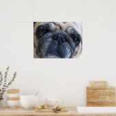 Hol dir bald einen tollen Mops-Hund Poster (Küche)