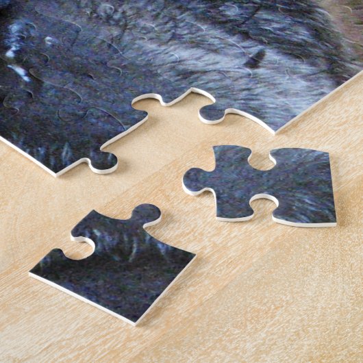 Hol dir bald einen tollen Mops-Hund Puzzle (Seite)