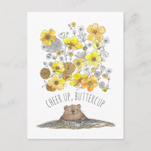 Hol dir wohltuende Groundhog Cheup, Buttercups Aqu Postkarte (Vorderseite)