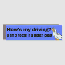 Hol meine lustige Gans decal Car Magnet
