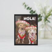 HOLA! POSTKARTE (Stehend Vorderseite)