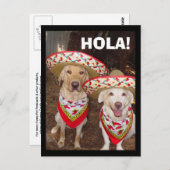 HOLA! POSTKARTE (Vorne/Hinten)