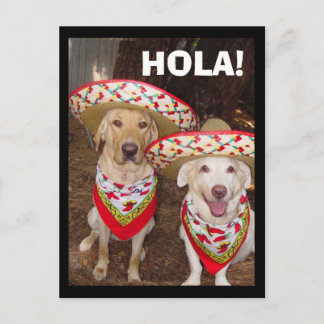 HOLA! POSTKARTE