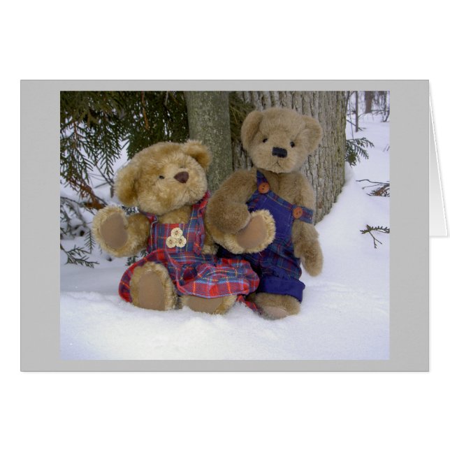 Holding Paws (Vorderseite (Horizontal))