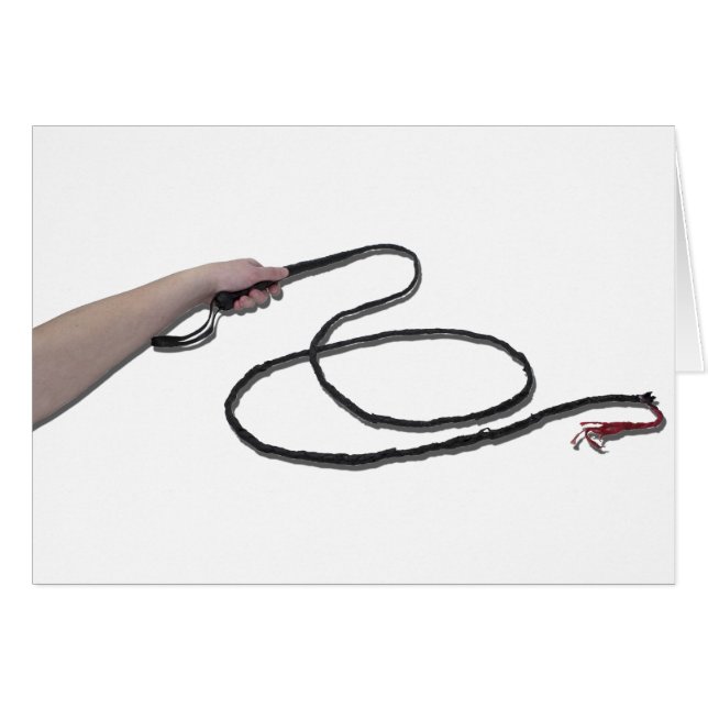HoldingWhip103110 (Vorderseite (Horizontal))