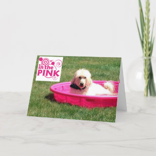 HOLEN SIE AM GEBURTSTAG DEN PINK/IN DEN POOL EIN KARTE