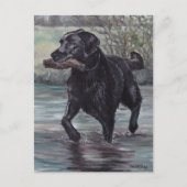 Holen Sie Black Labrador Retriever Hund Art Postka Postkarte (Vorderseite)
