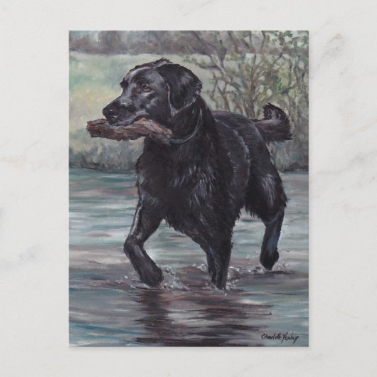 Holen Sie Black Labrador Retriever Hund Art Postka Postkarte (Vorderseite)