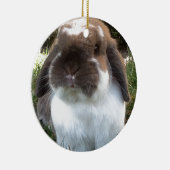 Holen Sie etwas Furriness in Ihr Leben! Keramik Ornament (Rechts)