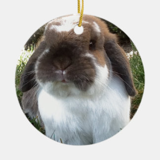 Holen Sie etwas Furriness in Ihr Leben! Keramik Ornament