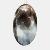 Holen Sie etwas Furriness in Ihr Leben! Keramikornament (Rechts)