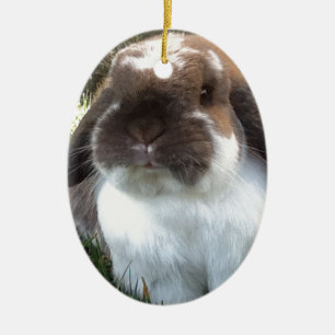 Holen Sie etwas Furriness in Ihr Leben! Keramikornament