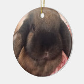 Holen Sie etwas Furriness zu Ihrem Baum Keramikornament (Links)