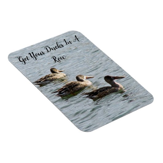 Holen Sie Ihre Enten in einer Reihe Magnet (Rechte Seite)