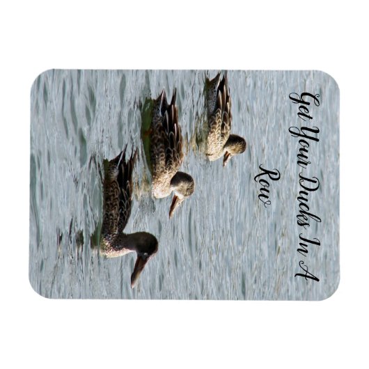 Holen Sie Ihre Enten in einer Reihe Magnet (Horizontal)
