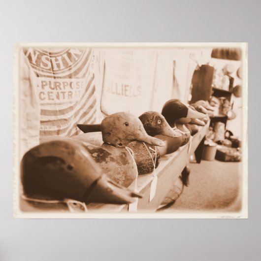 Holen Sie Ihre Enten in einer Reihe Poster (Vorne)