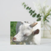 Holen Sie mir ein paar Shades Postkarte (Stehend Vorderseite)