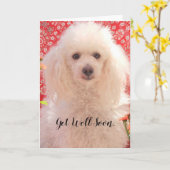 Holen Sie sich bald gut Spielzeug Poodle leere Gru Karte (Gelbe Blume)